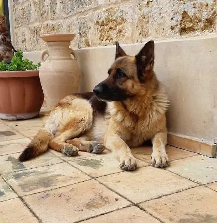 Séjour à la campagne Relais Casa Mirabile *