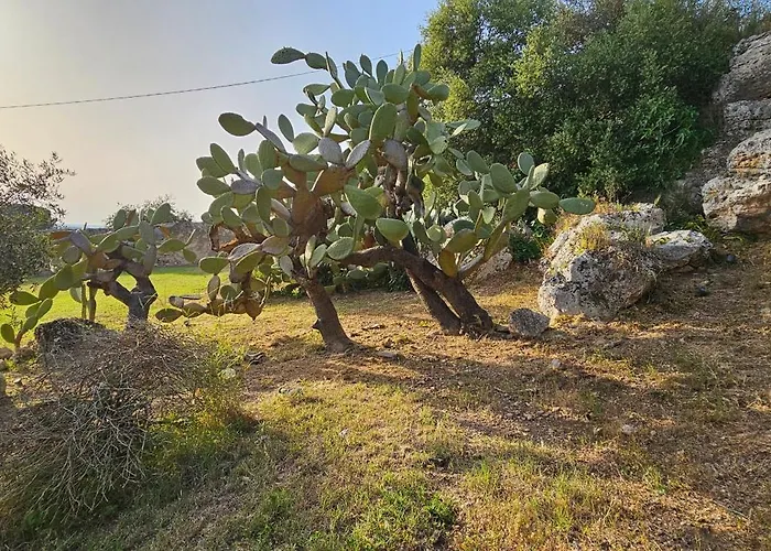 Relais Casa Mirabile Летний дом Менфи